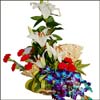 Romantic Feelings - Click here to View more details about this Product